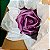 A Rosa de Cristal da Mangueira: Majestade e Brilho no Maior Espetáculo da Terra - Imagem 5