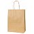 Kit Sacola Para Presente Kraft M 25,5x19,5x8cm - 10 Unidades - Imagem 1