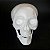 Crânio Cabeça Mandibula Caveira Esqueleto Halloween Fantasia - Imagem 3
