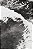 Print Bali 2 - Imagem 1
