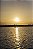 Print Amazonia 9 - Imagem 1