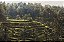 Print Campos de Arroz Bali 3 - Imagem 1
