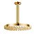 Chuveiro De Teto Docol Eden 200 Ouro Polido - 00909343 - Docol - Imagem 1