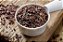 Cocoa Nibs 100% Cacau - Pacote de 800G - Imagem 2