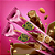 Chocolate Wafer Recheado Sonho de Valsa - Embalagem com 25G - Imagem 2