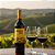 Vinho Miradouro da Vinha Tinto - Garrafa com 750ML - Imagem 2