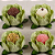 Forminha Decora Doces Princesa Verde Pistache - Embalagem com 30UN - Imagem 2