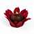 Forminha Decora Doces Mini Madri Vermelho - Embalagem com 30UN - Imagem 2