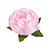 Forminha Decora Doces Princesa Rosa Bebê - Embalagem com 30UN - Imagem 1