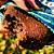 Brownie Proteico Zero Açúcar Belive Sabor Chocolate com Avelã - Embalagem com 40G - Imagem 2