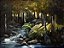 Floresta Negra - Obra com Tema Florestas - Realismo Contemporâneo por Sueli Dabus - 70cm x 90cm - Imagem 1
