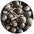 Chocalho Natural Maracá Indígena Para Caboclo - Imagem 3