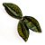 Fava Flor Estrela Verde Semente Ritualistica - Imagem 4