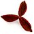 Fava Flor Estrela Vermelha Semente Ritualistica - Imagem 4