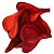 Fava Pétala de Flor Coração Vermelho Semente do Amor Ritualística Pombogira - Imagem 2