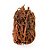 Fava Exu Semente Ritualistica - Imagem 1