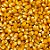 Grão Milho De Pipoca Amarelo 500G A Granel - Imagem 2