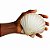 Concha Shell Marinha Fundo Branco Natural do Mar - Imagem 2