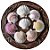 Concha Shell Marinha Fundo Branco Natural do Mar - Imagem 4