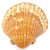 Concha Shell Laranja Natural Pequena - Imagem 1