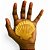 Concha Shell Laranja Natural Pequena - Imagem 2