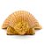 Concha Shell Laranja Natural Pequena - Imagem 4