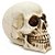 Estatueta Cranio De Caveira Em Resina 10Cm - Imagem 2
