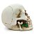 Estatueta Cranio De Caveira C/ Rosa Na Boca Em Resina 12Cm - Imagem 2