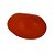 Fava Mulungu Vermelho Semente Ritualistica 1Un - Imagem 1