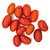 Fava Mulungu Vermelho Semente Ritualistica 1Un - Imagem 2