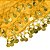 ACE19 LENÇO CIG. Amarelo - Imagem 2