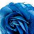 Presilha Grampo de Cabelo Rosa C/ Tule Broche Alfinete Azul 1 - Imagem 3