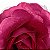 Presilha Grampo de Cabelo Rosa C/ Tule Broche Alfinete Magenta - Imagem 3