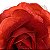 Presilha Grampo de Cabelo Rosa C/ Tule Broche Alfinete Vermelho - Imagem 3
