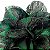 Presilha Grampo de Cabelo Rosa C/ Renda Broche Alfinete Verde/Preto - Imagem 3