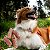 Petisco Mastigável para Cachorro Traqueia Bovina Natural Desidratada | Universo Bicho Zen - Imagem 3