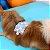 Almofadinha Terapêutica Alívio de Dores Articulares e Musculares para Pets M | Universo Bicho Zen - Imagem 2