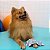 Almofadinha Terapêutica Alívio de Dores Articulares e Musculares para Pets P | Universo Bicho Zen - Imagem 6