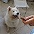 Petisco Mastigável para Cachorro Natural Esôfago Suíno Desidratado | Universo Bicho Zen - Imagem 6