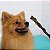 Petisco Mastigável para Cachorro Natural Esôfago Suíno Desidratado | Universo Bicho Zen - Imagem 4