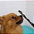 Petisco Mastigável para Cachorro Natural Esôfago Suíno Desidratado | Universo Bicho Zen - Imagem 2