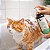 Kit 5 Shampoo para Cães e Gatos com Pele Sensível | Limpeza Suave | Universo Bicho Zen - Imagem 2