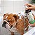 Kit 10 Shampoo para Cães e Gatos com Pele Sensível | Limpeza Suave | Universo Bicho Zen - Imagem 4