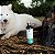 Kit com 2 Shampoos Zen para Cães e Gatos com Pele Sensível | Universo Bicho Zen - Imagem 2