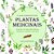 O Guia Completo das Plantas Medicinais - Imagem 1