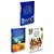 Trilogia Grandes Mestres da Humanidade ,taro,livro e livro de colorir - Imagem 1