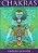 Chakras - Centros de Energia de Transformação - Imagem 2