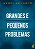 Grandes e Pequenos Problemas - Imagem 1
