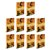 Kit 10 A Gênese - 10 Livros - Imagem 1