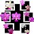 Kit de 7 Cattleya Walkeriana Selecionados Cod 01 - Imagem 1